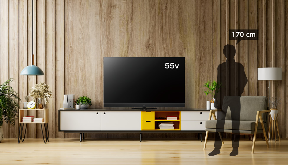 パナソニック 50型 TV テレビ - 家具