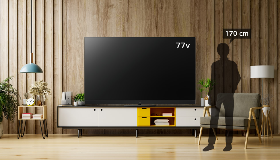 55インチTV