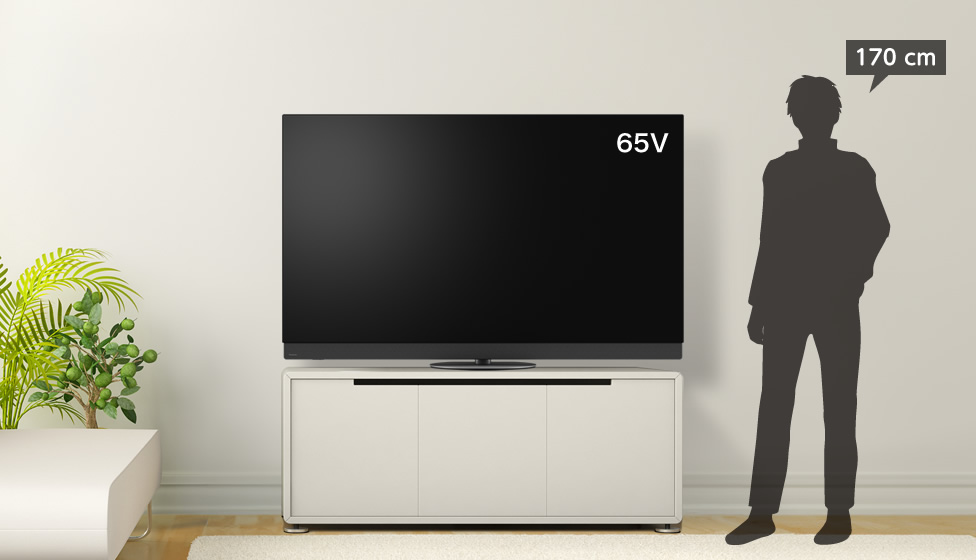 6畳＆65v型＆ローボード