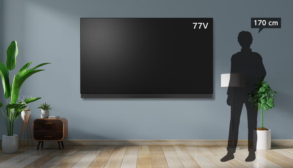 8畳＆75v型以上＆壁掛け